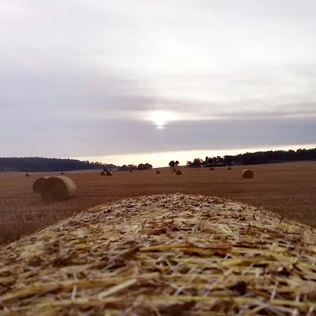 Farm stay Statek U Sykorky