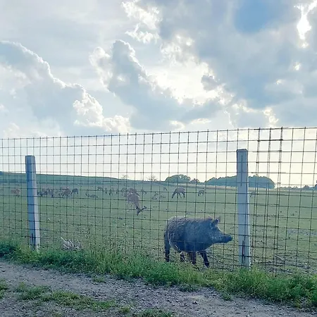 Statek U Sykorky Farm stay *