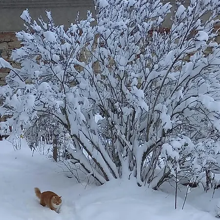 U Sykorky בית חווה *