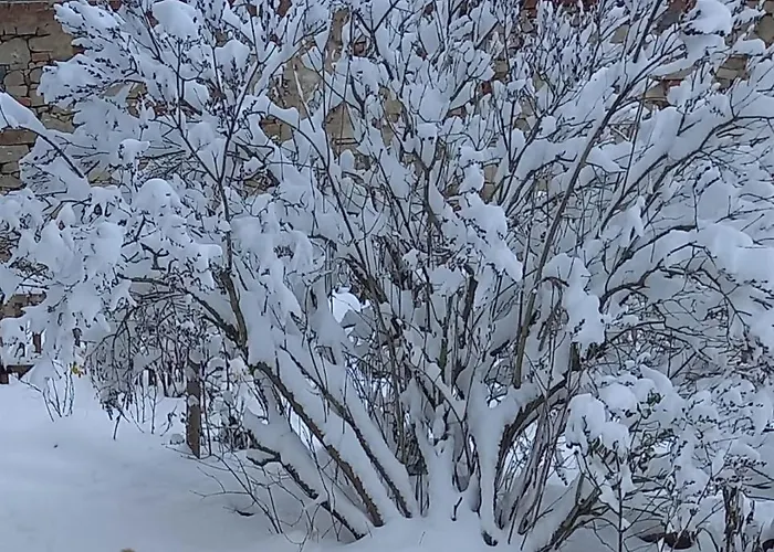 U Sykorky مزرعة للإقامة *